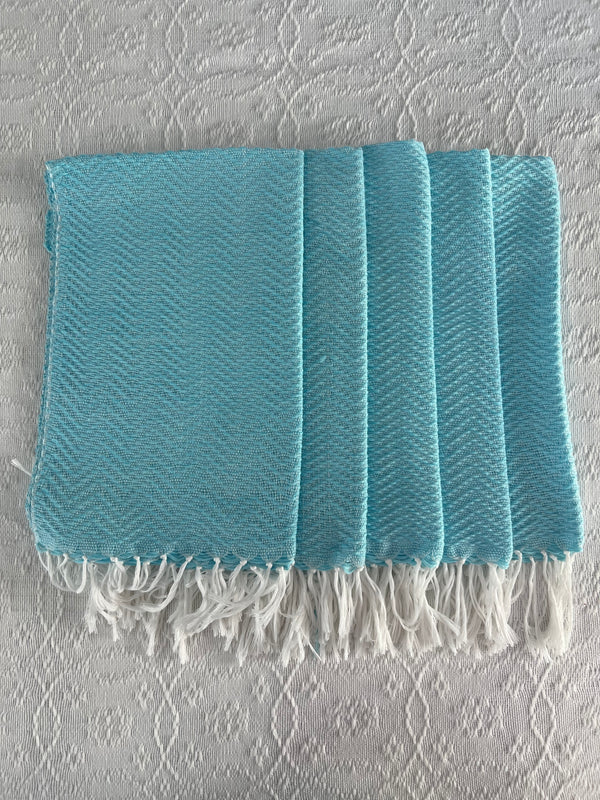 POWDER BLUE HAND TOWELS - 5 piece set